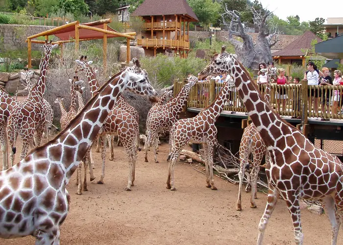 Cheyenne Mountain Zoo